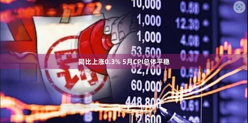 同比上涨0.3% 5月CPI总体平稳
