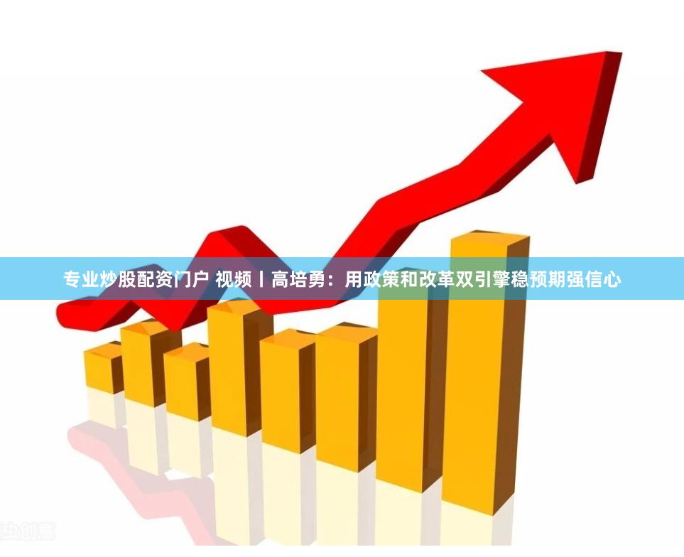 专业炒股配资门户 视频丨高培勇：用政策和改革双引擎稳预期强信心
