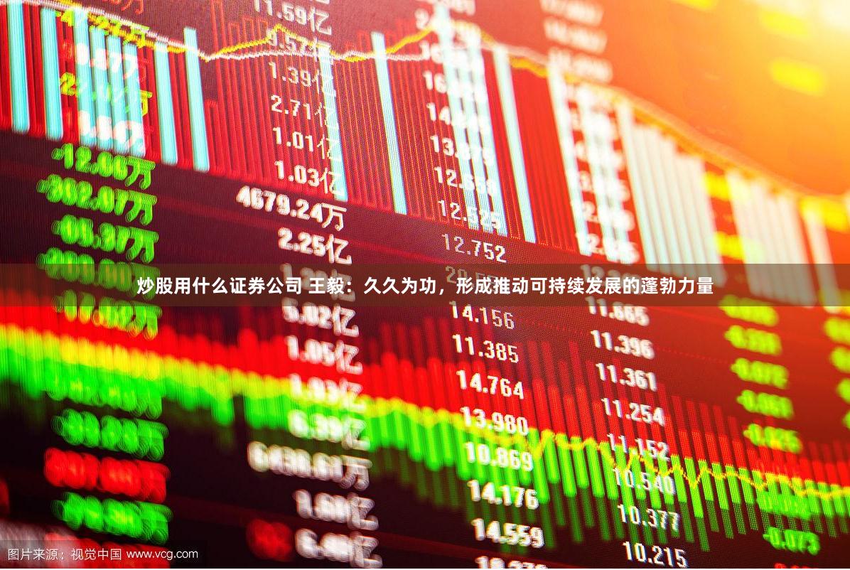 炒股用什么证券公司 王毅：久久为功，形成推动可持续发展的蓬勃力量