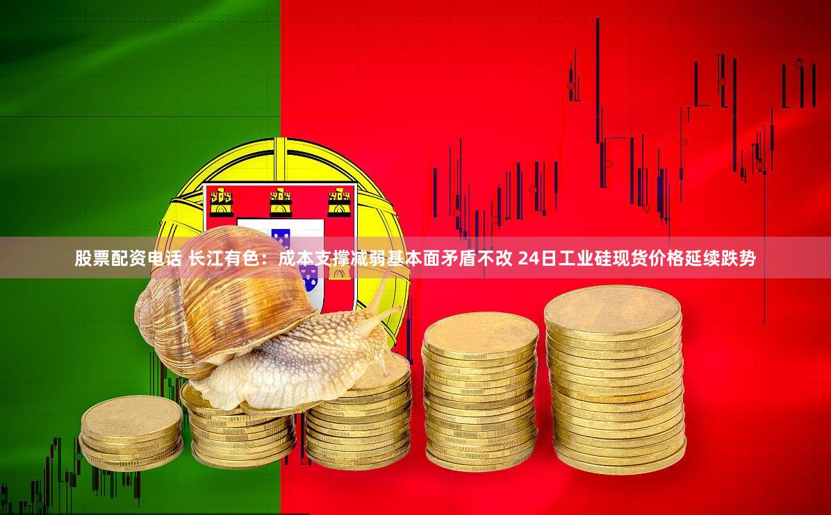 股票配资电话 长江有色：成本支撑减弱基本面矛盾不改 24日工业硅现货价格延续跌势