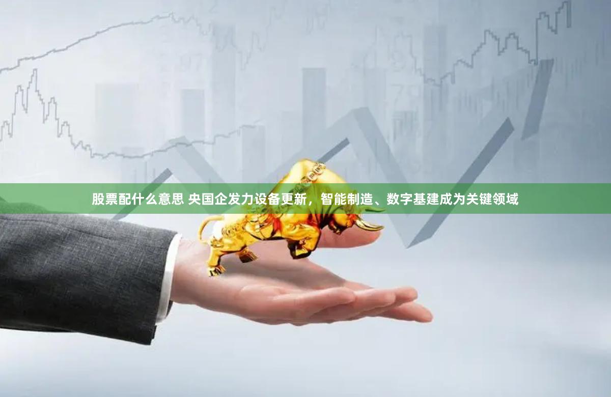 股票配什么意思 央国企发力设备更新，智能制造、数字基建成为关键领域
