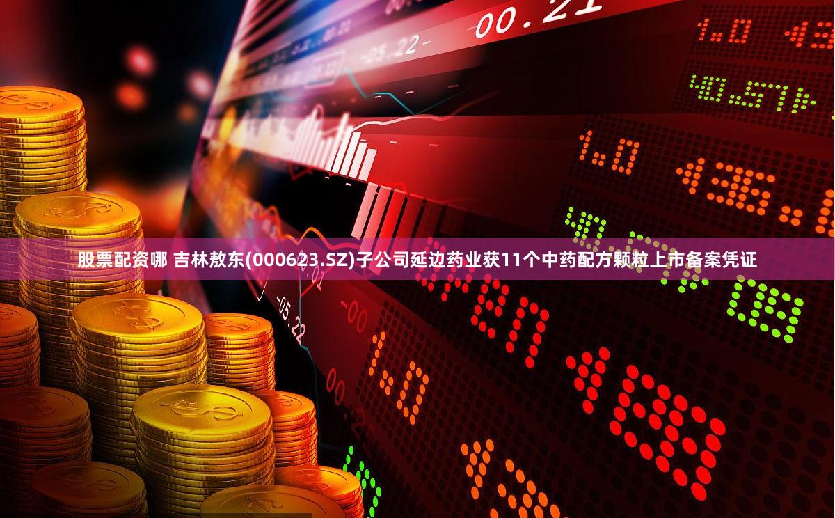 股票配资哪 吉林敖东(000623.SZ)子公司延边药业获11个中药配方颗粒上市备案凭证