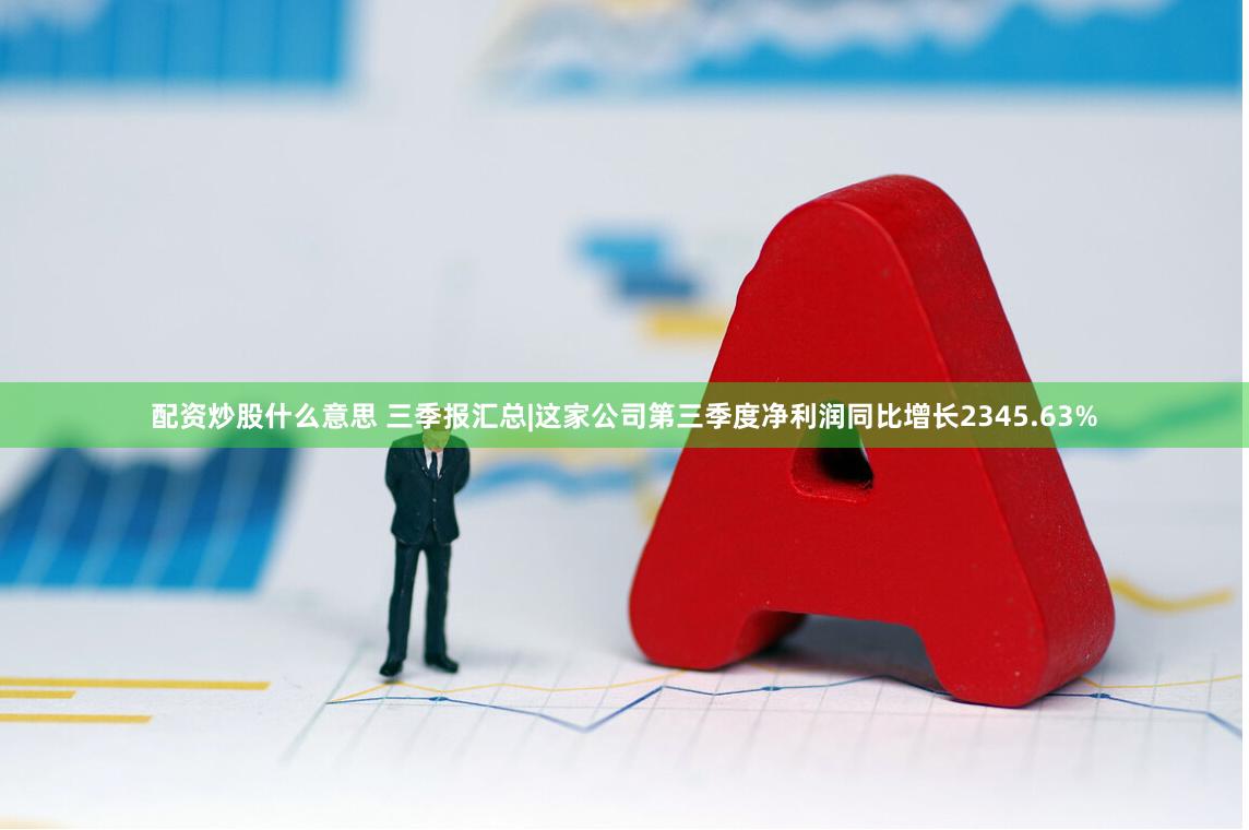 配资炒股什么意思 三季报汇总|这家公司第三季度净利润同比增长2345.63%
