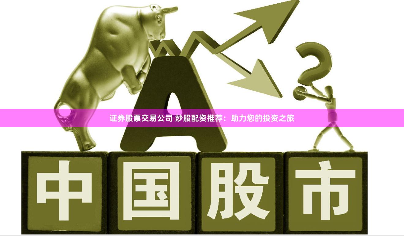 证券股票交易公司 炒股配资推荐：助力您的投资之旅