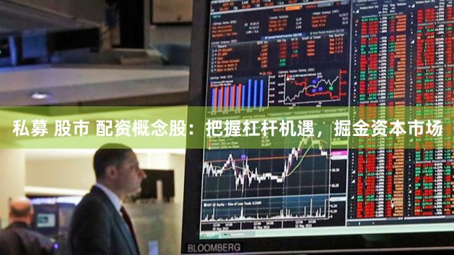 私募 股市 配资概念股：把握杠杆机遇，掘金资本市场